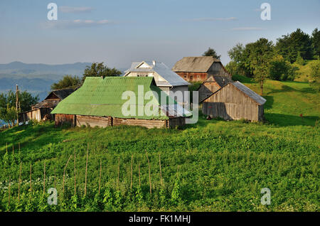 Homestead on the green slope in Carpatians Foto Stock