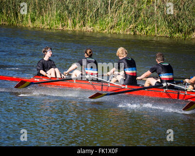 Regata di Canottaggio, fiume Aller, Celle, Germania Foto Stock