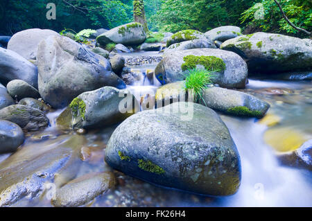 Dettaglio immagine del paesaggio di rocce e massi in un torrente di montagna nel nord di Akita, Giappone. Foto Stock