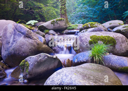 Dettaglio immagine del paesaggio di rocce e massi in un torrente di montagna nel nord di Akita, Giappone. Foto Stock