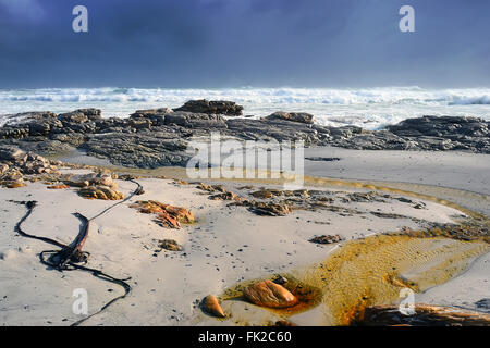 Scarborough costa, Sud Africa Foto Stock