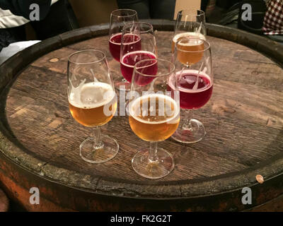 Bicchieri di Gueuze e Kriek lambic birre su una canna, durante una degustazione presso una fabbrica di birra in Belgio. Foto Stock