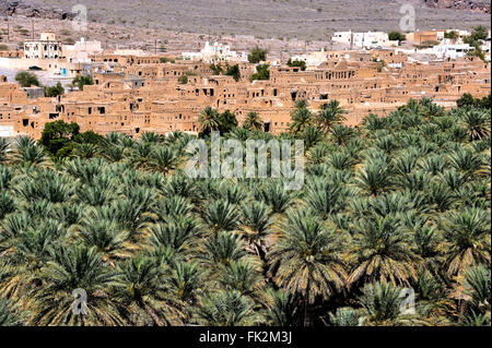 Al Hamra, villaggio di vecchi edifici in mattoni e palm oasis in montagna Jebel Akhdar Foto Stock