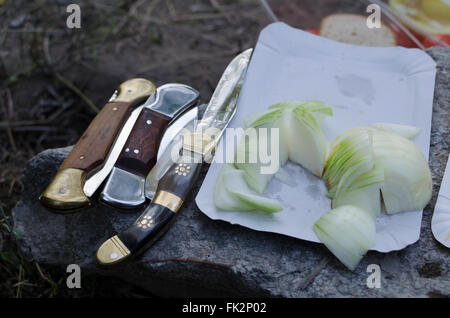 Shiny coltelli da tasca con cipolla su una roccia Foto Stock