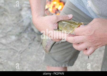 Fisherman rimozione gancio da poco Wels Catfish Closeup Foto Stock