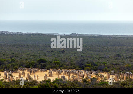 Famoso Deserto Pinnacles, Nambung National Park. Foto Stock