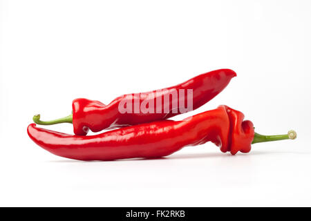 Coppia di italiani freschi peperoni su sfondo bianco Foto Stock