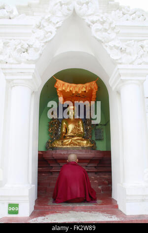 Asia, Sud-est asiatico, Myanmar, la pagoda Shwedagon, un monaco in tombi rossi meditando di fronte ad una statua del Buddha Foto Stock
