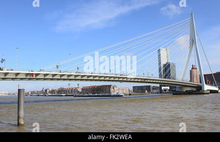 Iconico ponte Erasmus (Erasmusbrug), Rotterdam, Paesi Bassi. Progettato da Ben van Berkel, UNStudio, 1996 Foto Stock