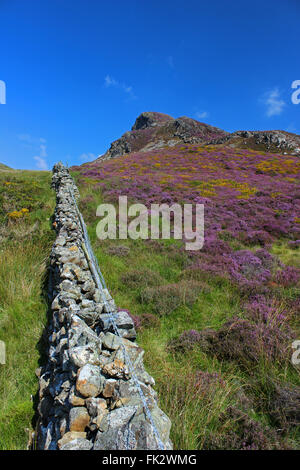 Paesaggio intorno al lago e Cregennan Cadair Idris Gwynedd in Galles Foto Stock
