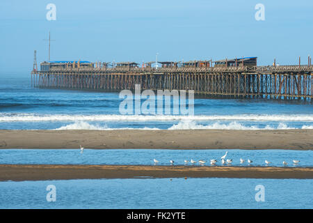 Famoso molo a Pimentel. Il Perù, Sud America Foto Stock