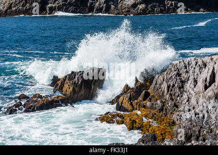 Dursey Island, penisola di Beara, County Cork, Irlanda - 18 agosto 2010: Dursey Island è separata dalla terraferma da uno stretto Foto Stock