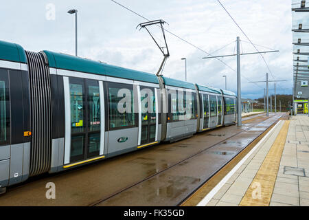 Nottingham Express Transit (NET) tram presso la Clifton sud alla fermata del tram, Nottingham, Inghilterra, Regno Unito Foto Stock