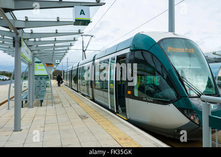 Nottingham Express Transit (NET) tram presso la Clifton sud alla fermata del tram, Nottingham, Inghilterra, Regno Unito Foto Stock