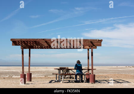 Una donna si siede da solo ad un picnic abbandonata zona lontana dal litorale sfuggente del Salton Sea, California USA Foto Stock
