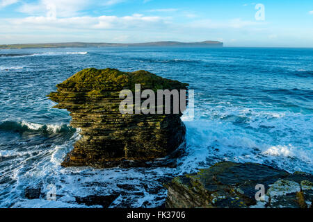 Stack di mare dal sentiero costiero vicino Scarfskerry, Caithness in Scozia, Regno Unito. La distanza è di Dunnett testa. Foto Stock