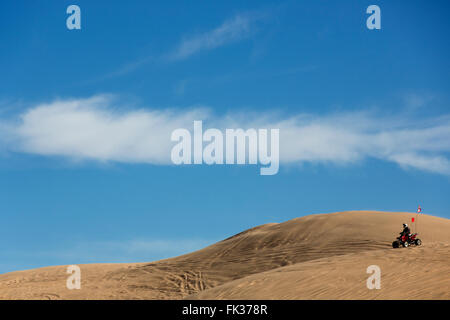 Imperial dune di sabbia Recreation Area, California USA Foto Stock