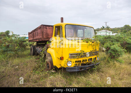 Incolto, arrugginimento giallo Leyland ribaltabile in Ogg Spencer scrapyard autotrasporti, Liberta, sud Antigua Antigua e Barbuda Foto Stock