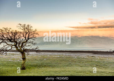 Nebbia sul lago Taupo durante l alba Foto Stock