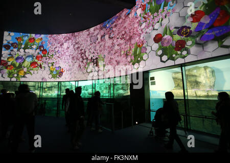 Tokyo, Giappone. Mar 5, 2016. Una mappatura di proiezione è visualizzato su pareti all'Hakkeijima Sea Paradise di Yokohama, nella prefettura di Kanagawa il Sabato, 5 marzo 2016. Il parco di divertimenti con acquario ha introdotto la loro nuova attrazione 'Rakuen no acquario (acquario del paradiso)' floreale dove le immagini vengono visualizzati sulle pareti e l'interno dell'acquario. © Yoshio Tsunoda/AFLO/Alamy Live News Foto Stock