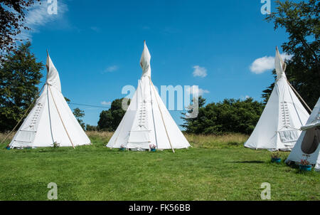 matrimonio, luogo, ospite, ospiti, alloggio, Foto Stock