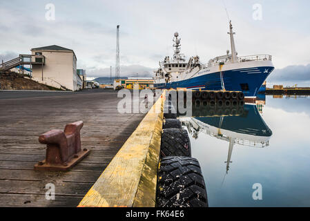 Porto di pesca a Hofn, Est fiordi Regione (Austurland), Islanda, regioni polari Foto Stock