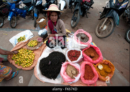 La donna nel cappello di paglia vendita di limoni, tè e spezie su una coperta fuori mercato Kalaw, stato Shan, Myanmar (Birmania), Asia Foto Stock