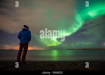 Tourist guardando le luci del nord (Aurora Boreale), Reykjavik, Islanda, regioni polari Foto Stock