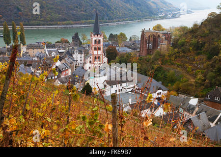 Panoramica di Bacharach e il fiume Reno in autunno, Renania-Palatinato, Germania, Europa Foto Stock