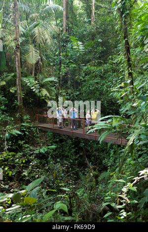 Gli amanti del birdwatching, Mistico Arenal ponti sospesi, Alajuela, Costa Rica, America Centrale Foto Stock