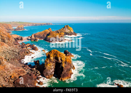 Kynance Cove, lucertola, Cornwall, England, Regno Unito, Europa Foto Stock