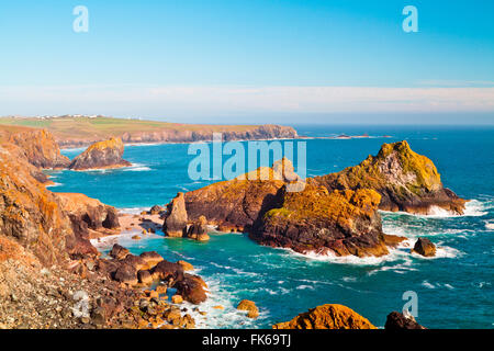 Kynance Cove, lucertola, Cornwall, England, Regno Unito, Europa Foto Stock