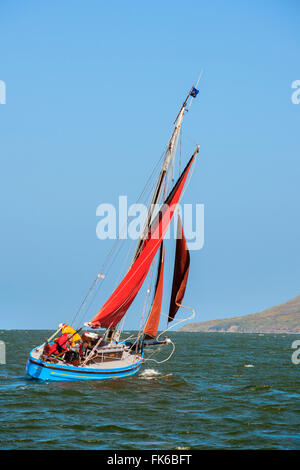 Barca a vela su un tradizionale Morecambe Bay boreale barca (prawner), Regno Unito, Europa Foto Stock