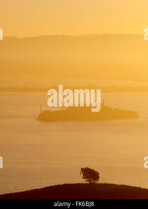 La prigione di Alcatraz island, San Francisco, California, Stati Uniti d'America, America del Nord Foto Stock