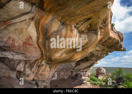 San arte rupestre, montagne Cederberg, Western Cape, Sud Africa e Africa Foto Stock