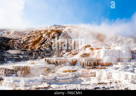 Terrazzi Mammoth Hot Springs, il Parco Nazionale di Yellowstone, Sito Patrimonio Mondiale dell'UNESCO, Wyoming, Stati Uniti d'America Foto Stock