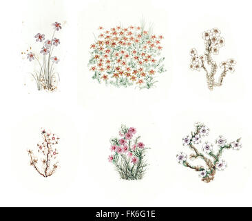 Bellissimo set da favola di coloratissimi fiori ad acquerello. SET 5 Foto Stock