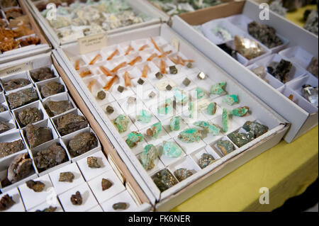 I cristalli di gemme pezzi giacenti in cartone al minerale di Varsavia Expo 2016, 5 Marzo, VI edizione evento nel palazzo PKiN Foto Stock