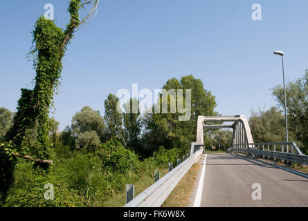 Ponte stradale sul fiume Po nei pressi di Porto Tolle, del Parco del Delta del Po, provincia di Rovigo, regione Veneto, Italia Foto Stock