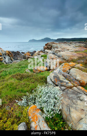 Il Capo di Buona Speranza a rocce nere, Cape Point, Sud Africa Foto Stock