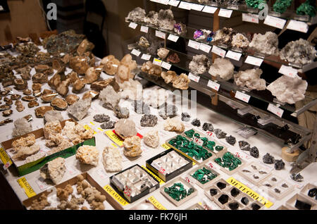 Pezzi di gemme shop vetrina, assortimento in minerale di Varsavia Expo 2016, 5 Marzo, VI edizione evento nel palazzo PKiN, Polonia Foto Stock