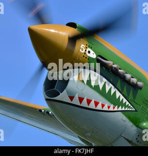 Curtiss WWII P-40 Warhawk aereo da caccia Foto Stock
