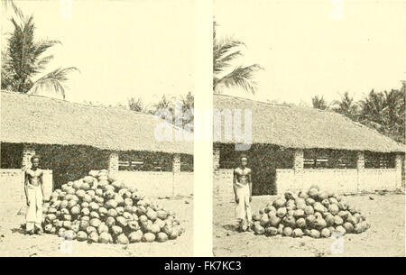 "Elementi di Philippine agricoltura" (1908) Foto Stock