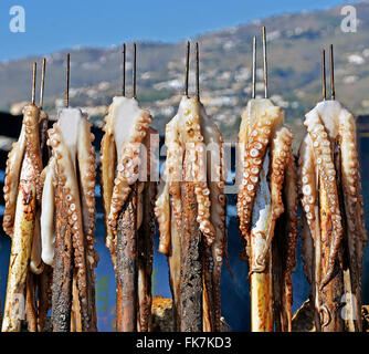 Il polpo su uno spiedino di legna da ardere in spiaggia Foto Stock