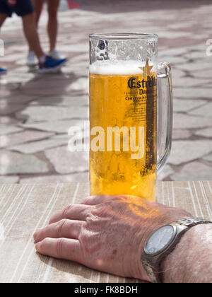 Estrella Damm birra Pilsner, fresco e freddo, in tazze di vetro su un marciapiede caffetteria in Alcala Tenerife Canarie Spagna Foto Stock