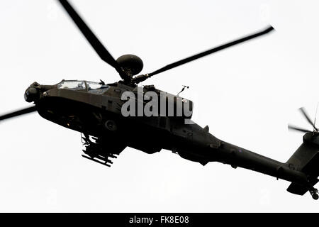 AgustaWestland Apache elicottero d'assalto operati da British Army Air Corps sulla foresta di Rendlesham Suffolk REGNO UNITO Foto Stock