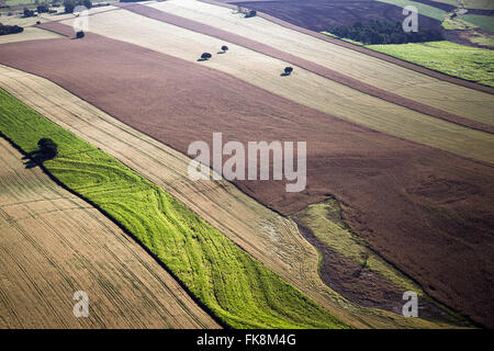 Vista aerea di piantagioni di grano, canna da zucchero, mais e banana in campagna Foto Stock