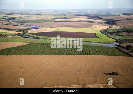 Vista aerea di piantagioni di grano, canna da zucchero, mais e banana in campagna Foto Stock