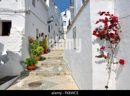 Case a schiera lungo un tipico villaggio imbiancate street, Frigiliana, Andalusia Foto Stock