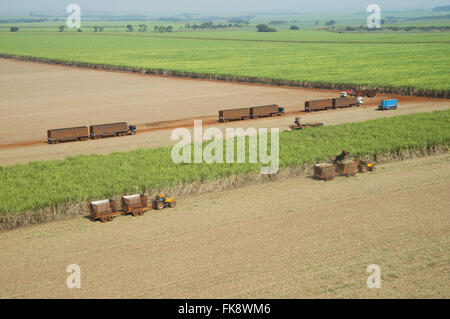 Vista aerea di combinare la raccolta della canna da zucchero in campagna Foto Stock